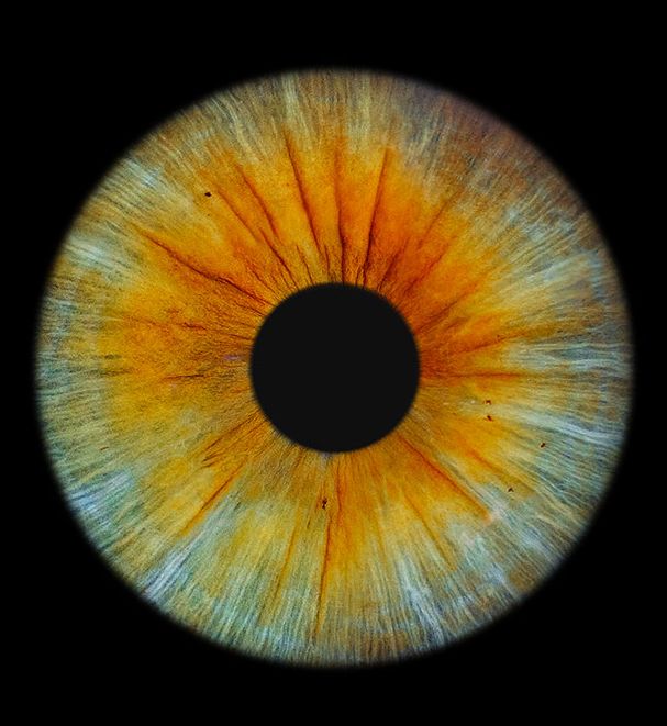 La couleur des yeux de votre bébé : un mystère génétique qui se révèle jour après jour